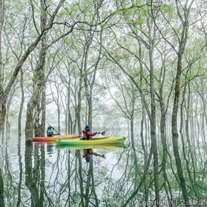 林の中を進むカヌー（飯豊町提供）