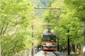 市原―二ノ瀬間の「青もみじのトンネル」（叡山電鉄提供）