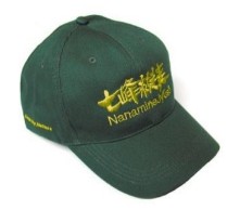 「完歩帽子」のイメージ（東武鉄道提供）