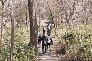 新コース「札幌のオアシス円山公園・北海道神宮と芸術に触れる、円山・桑園ウォーク」では多くの人たちが市街地とその近郊を歩き、身近な自然を楽しんだ