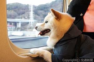 昨年の「わんわんエクスプレス」車内の様子（ＪＲ東海提供） 