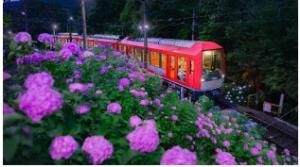 「夜のあじさい号」のイメージ（小田急箱根提供）