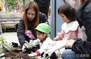 恒例の花の植え込みをする幼稚園児ら