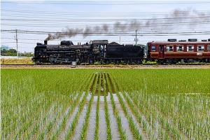 「ＳＬ高崎鉄道少年団号」として運行されるＳＬパレオエクスプレス（秩父鉄道提供）