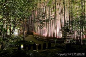 夜の「報国寺」のイメージ（ホテルメトロポリタン鎌倉提供）