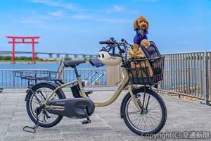 愛犬と同乗できるレンタサイクルのイメージ（浜松・浜名湖ツーリズムビューロー提供）
