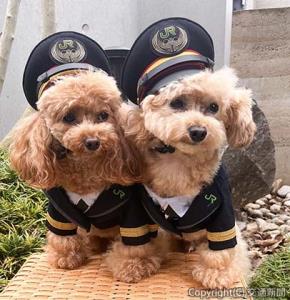 小型犬サイズのペット用ウエアを製作＝イメージ＝（ＪＲ東日本商事提供）